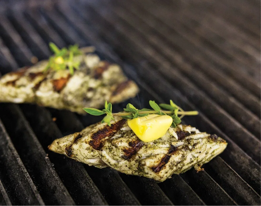 grilled barracuda