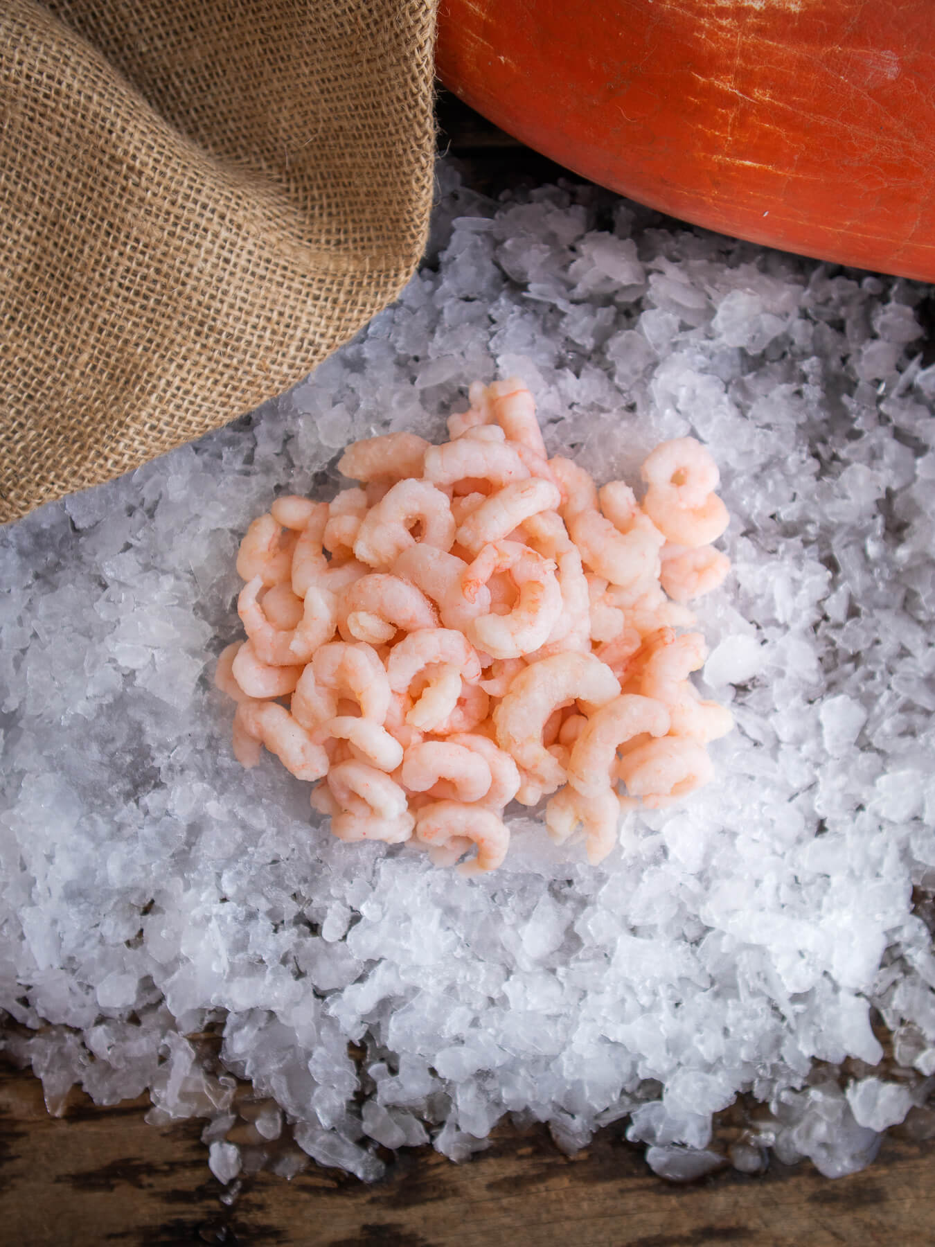 Pink Shrimp — photo 3