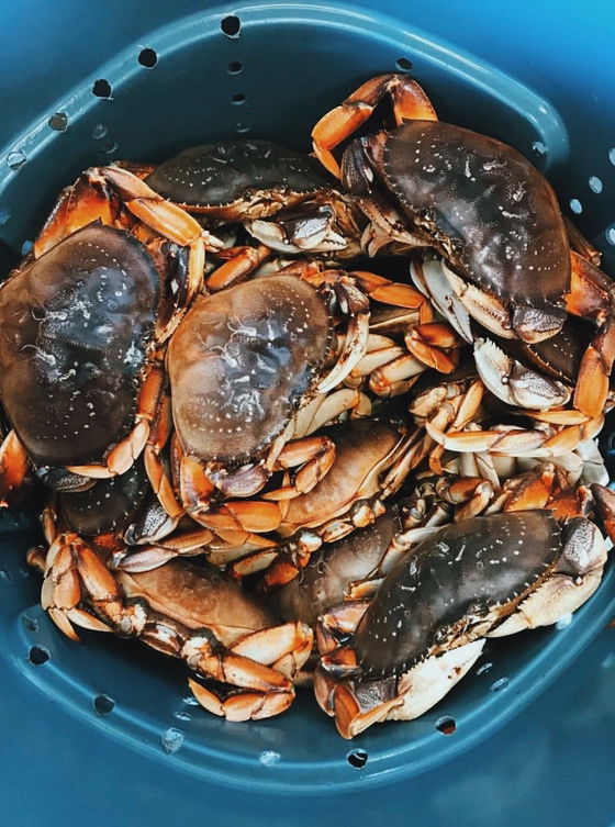Previously Frozen Dungeness Crab