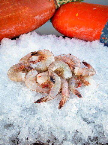 Gulf Prawns