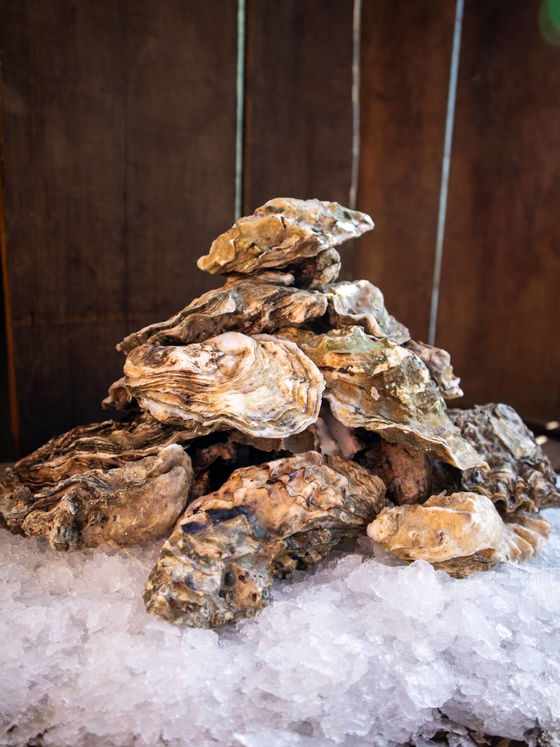 Grilling Oysters