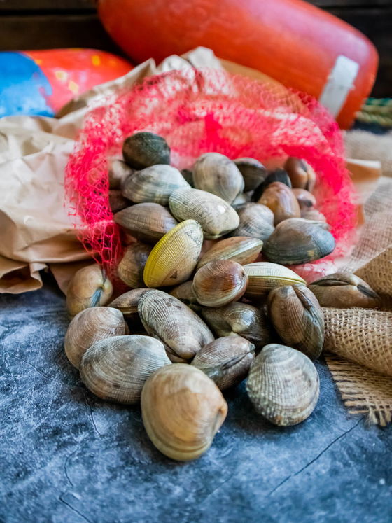 Clams