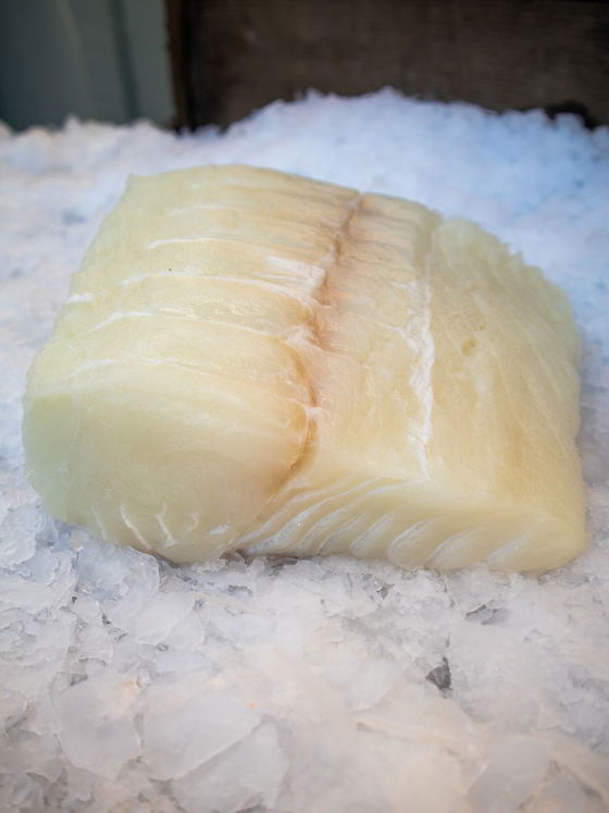 Pacific Halibut
