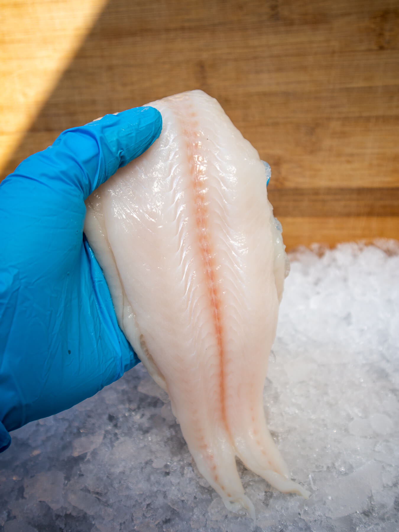 Dover Sole — photo 2
