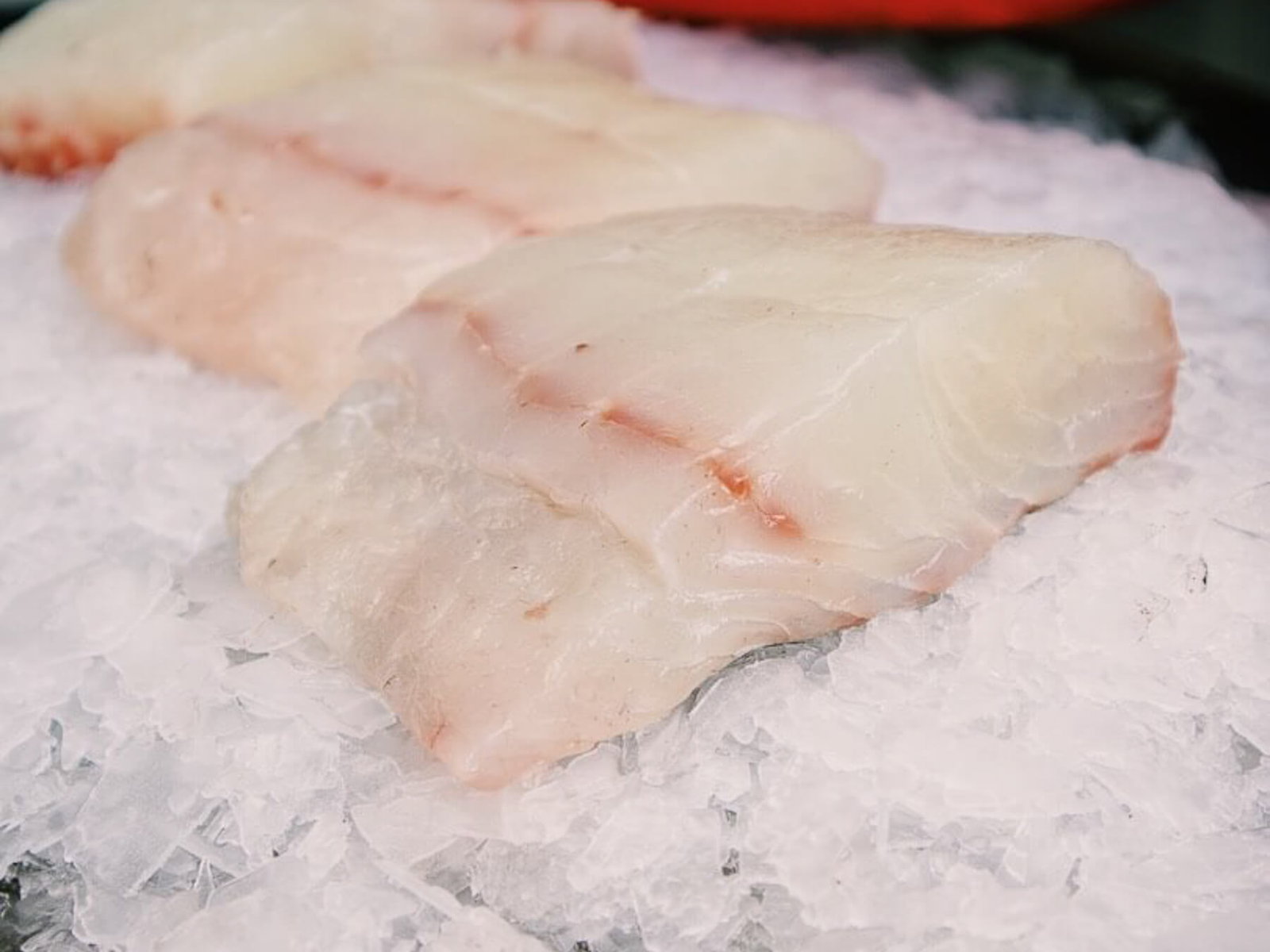 California Halibut — photo 2