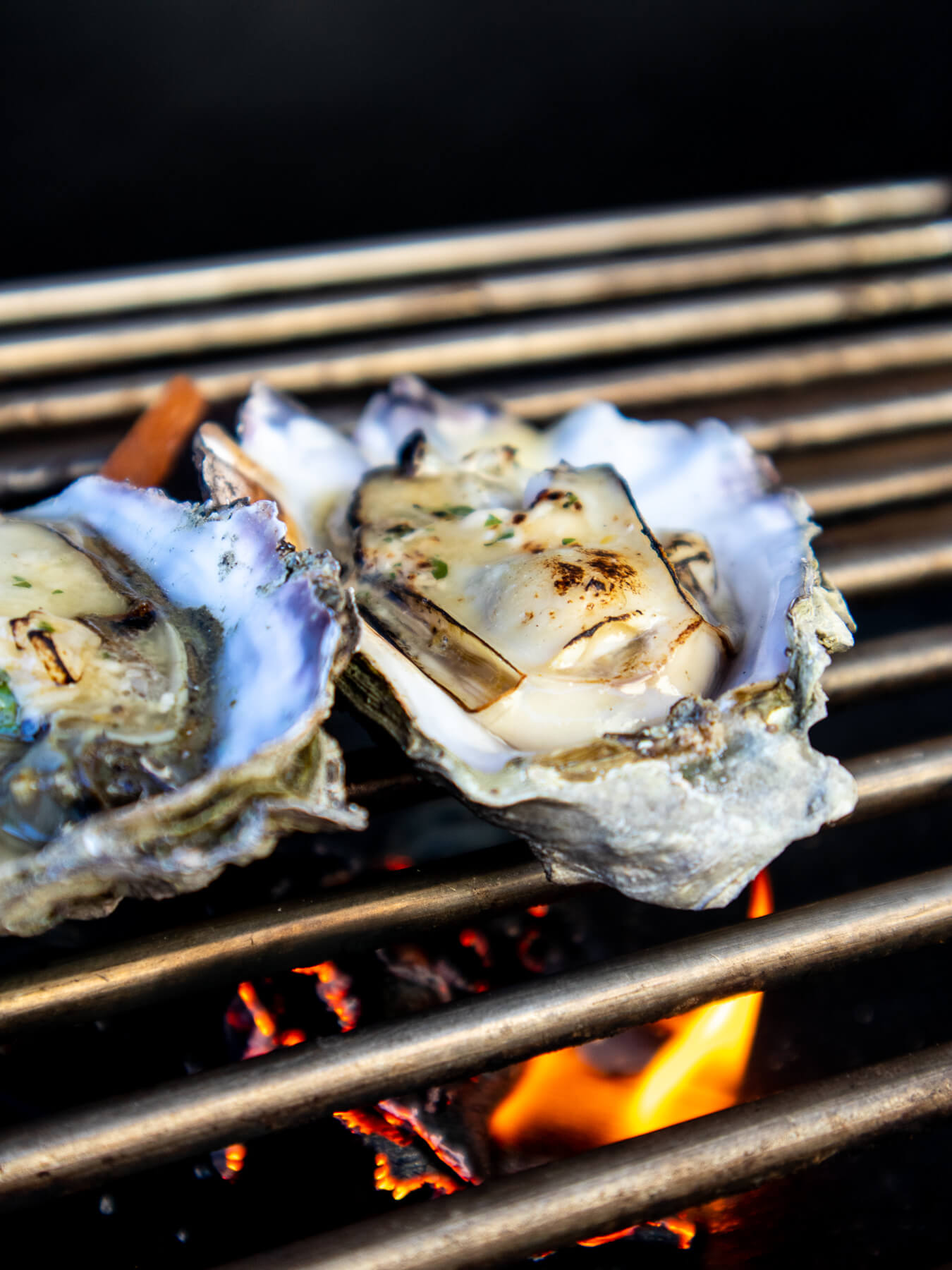 Grilling Oysters — photo 4