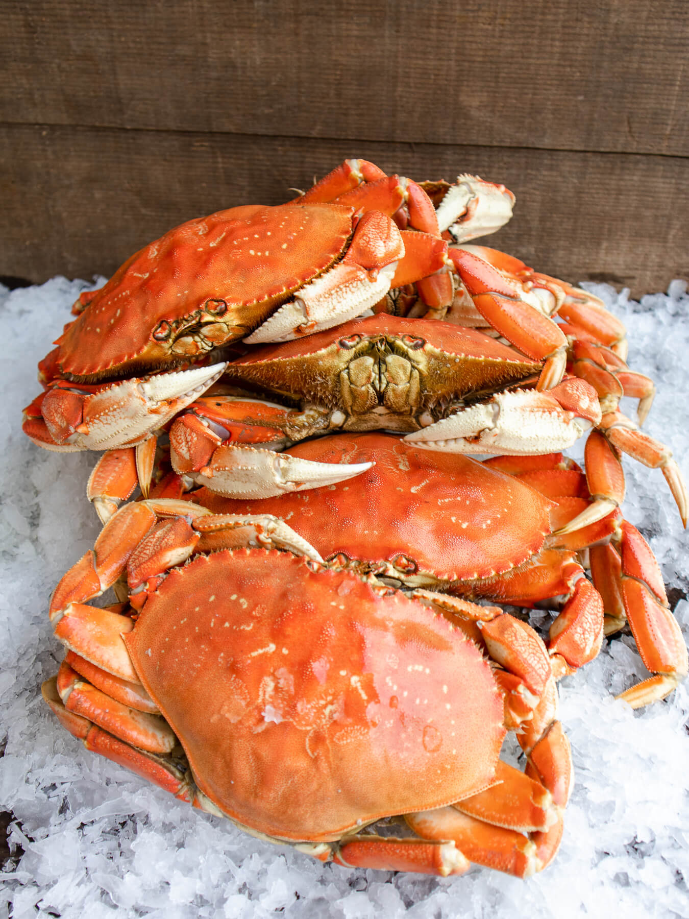 Cooked Dungeness Crab — photo 4