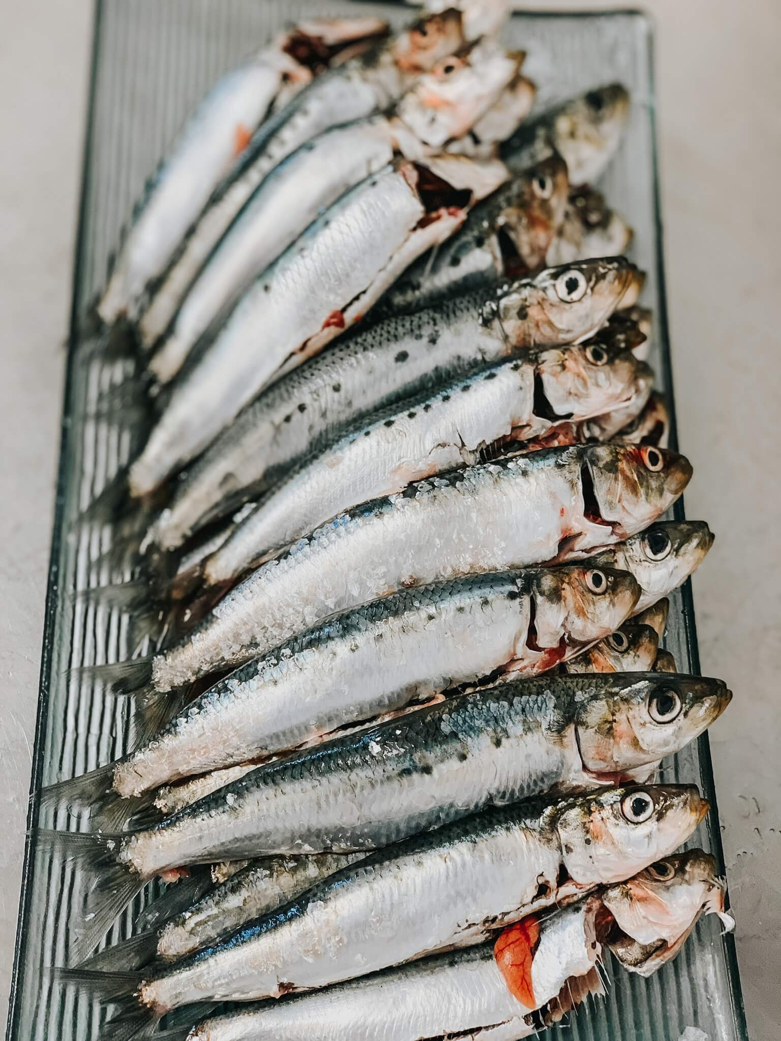 Sardines — photo 3