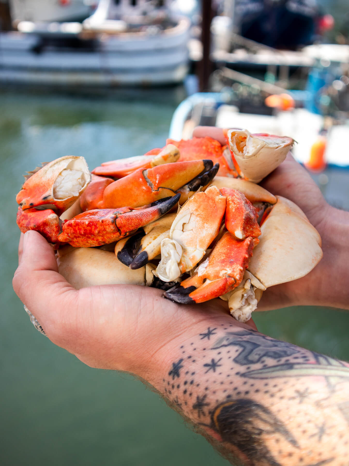 Rock Crab Claws — photo 3