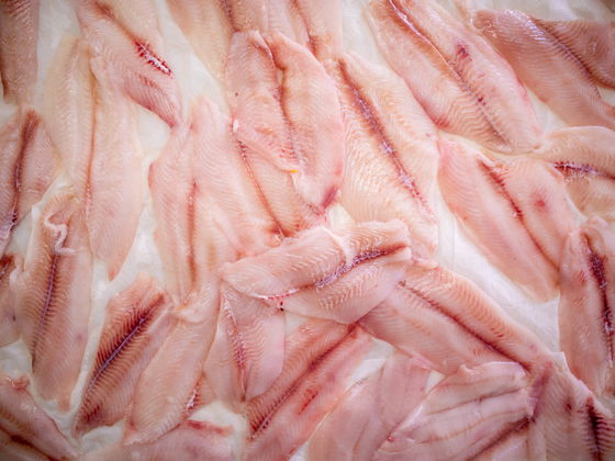 Petrale Sole