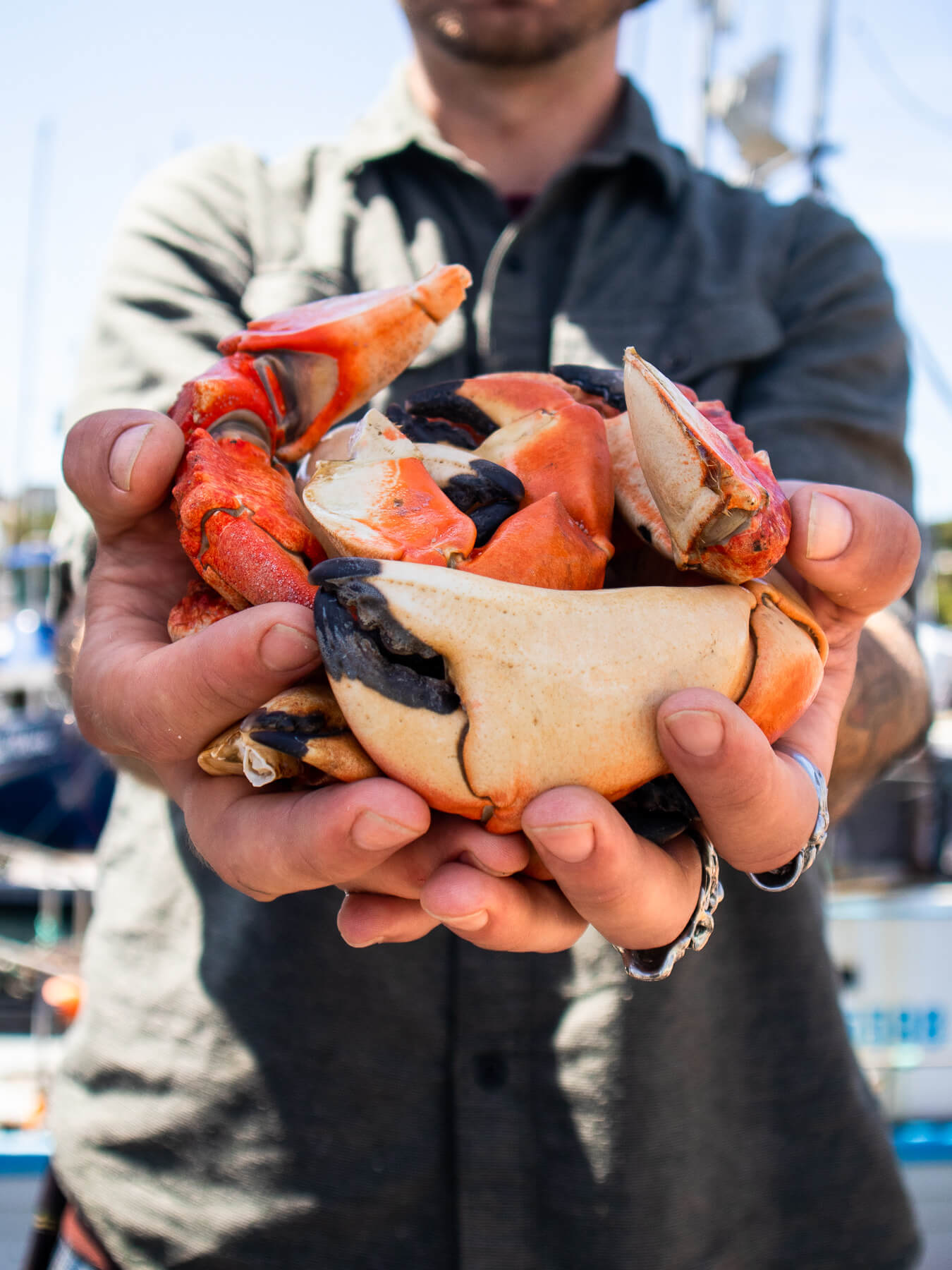 Rock Crab Claws — photo 1