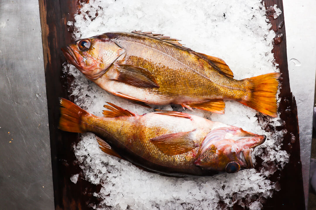 Rockfish (Whole) — photo 2