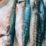 Bonito — photo 5