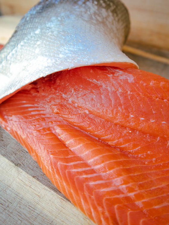 Sockeye Salmon