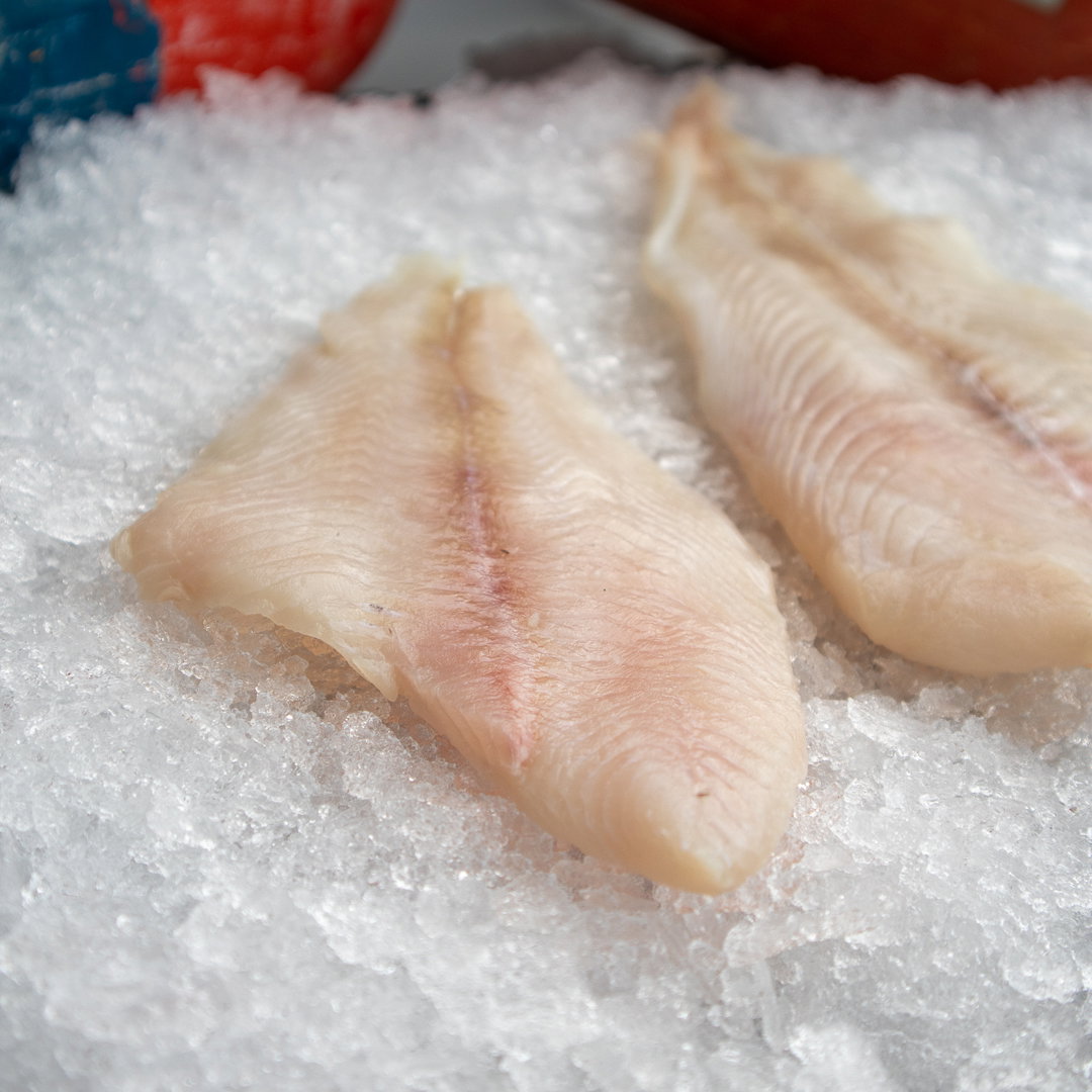 Petrale Sole — photo 2