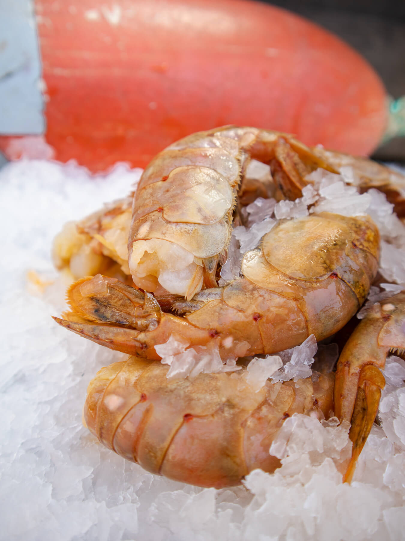 Previously Frozen Spot Prawns — photo 2