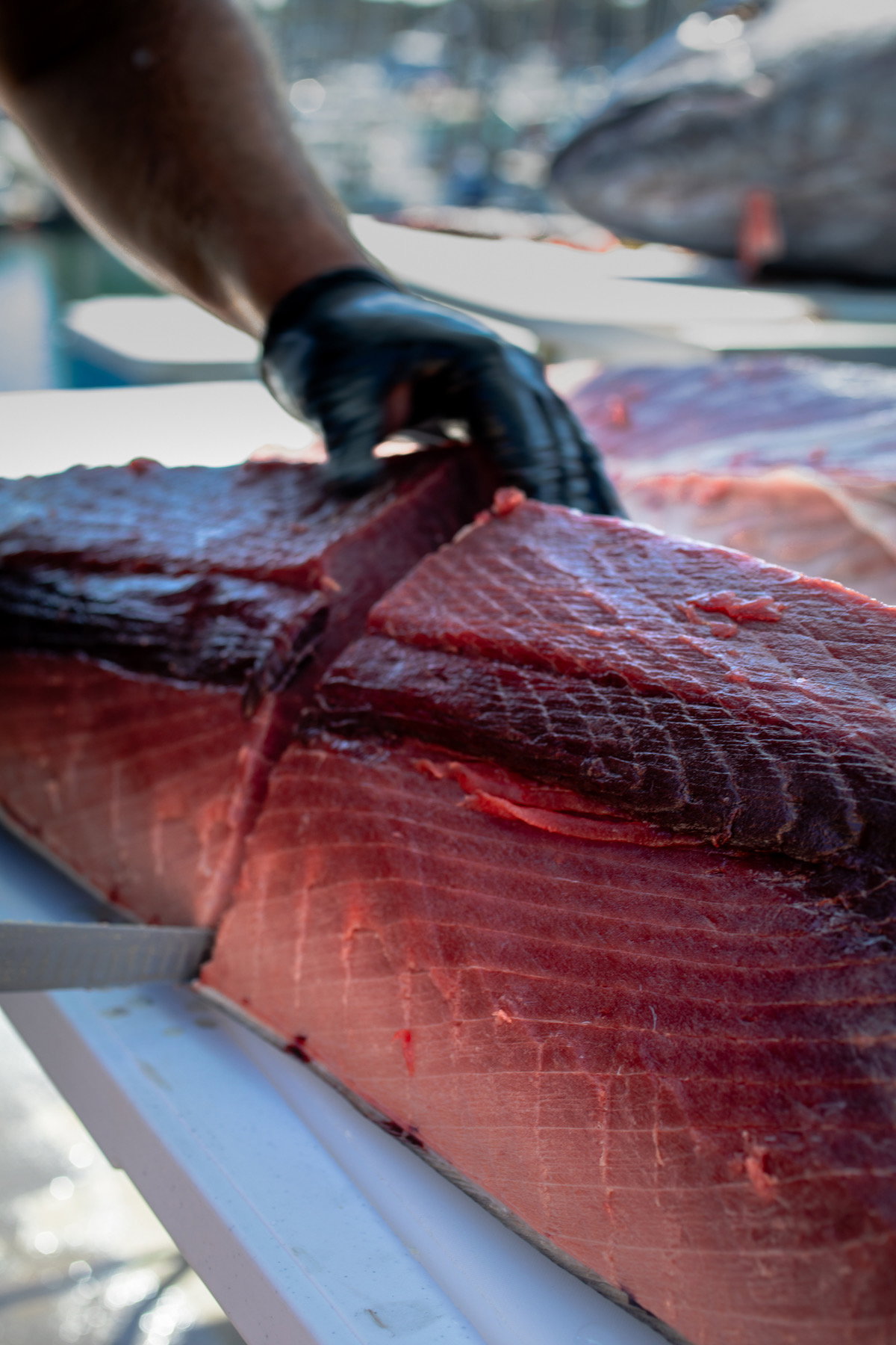Bluefin Maguro — photo 6