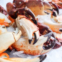 Rock Crab Claws — photo 2