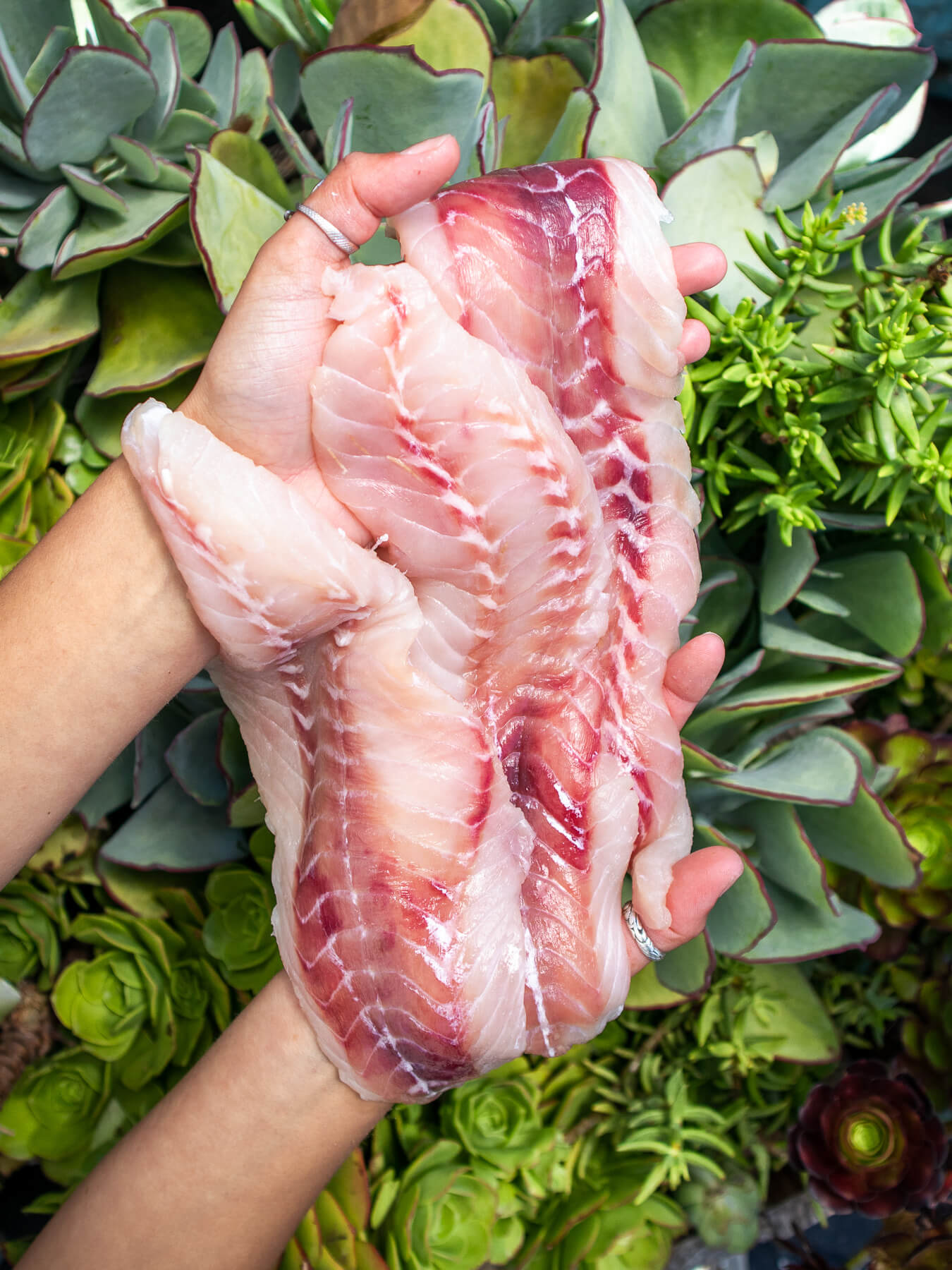 Rockfish (Skin-Off) — photo 2