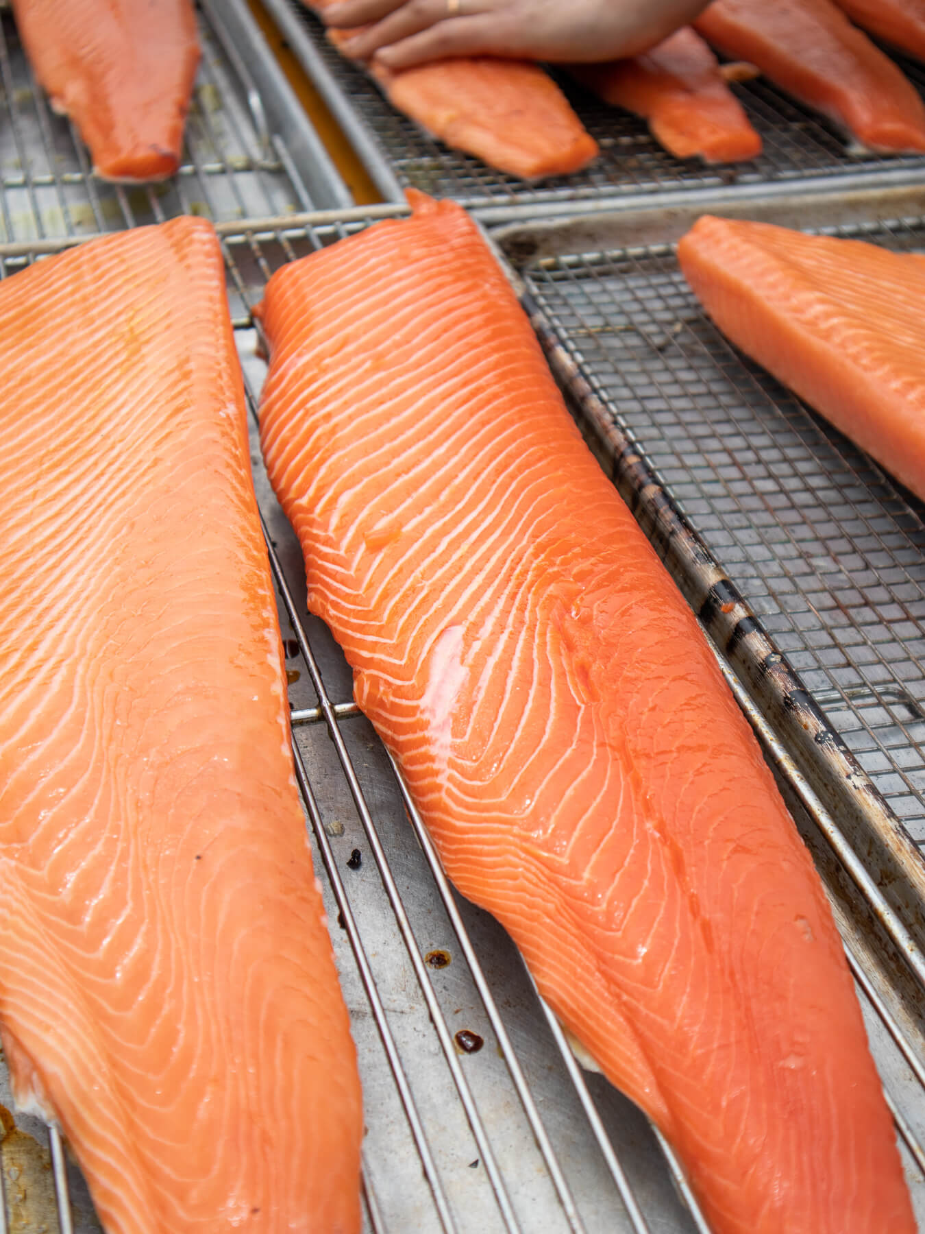 King Salmon — photo 4