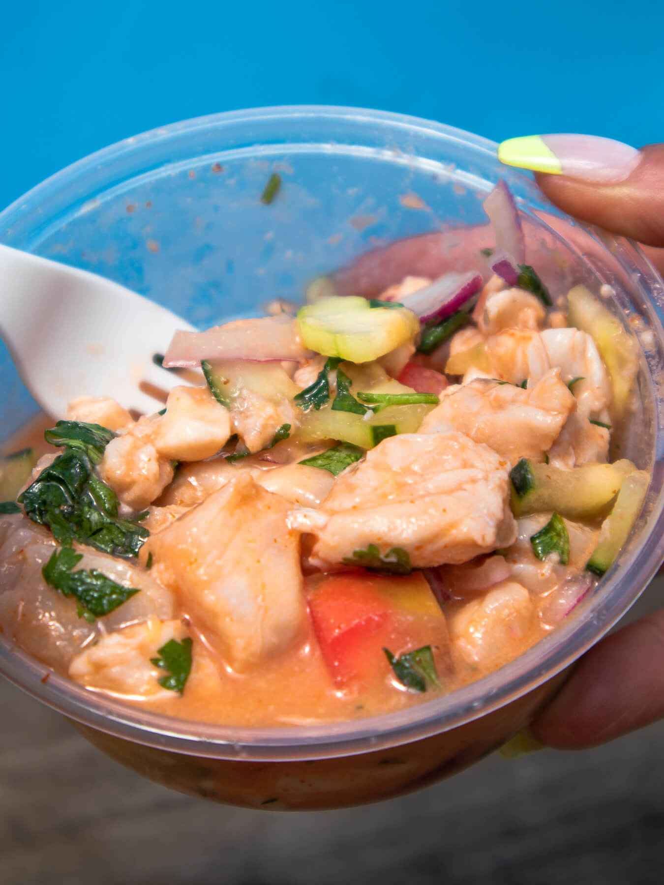 White Seabass Ceviche — photo 1