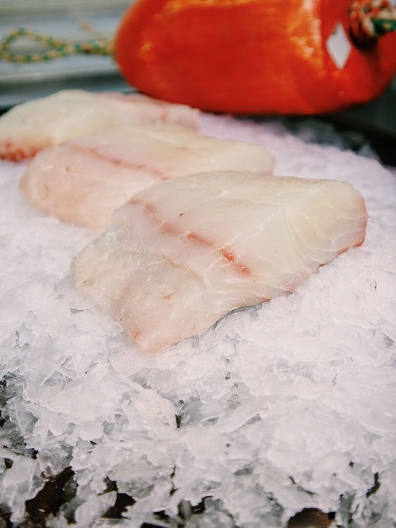 California Halibut
