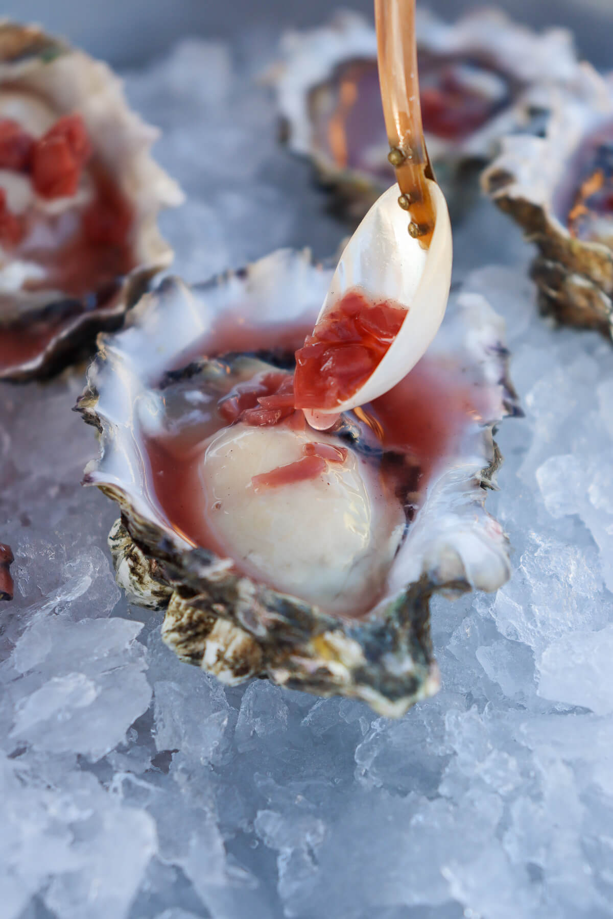 Pacific Oysters — photo 3