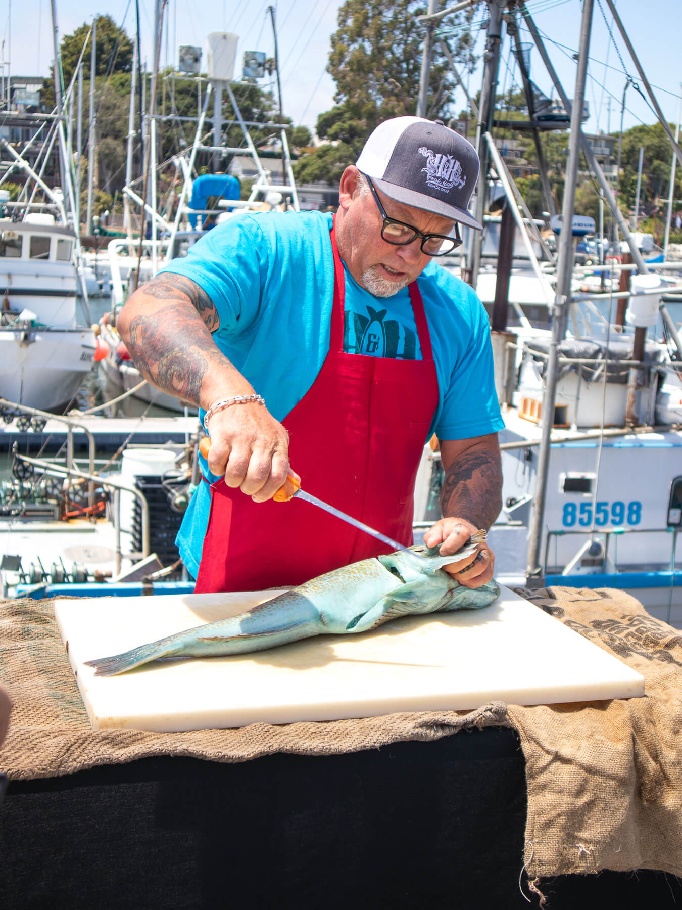 Lingcod — photo 4