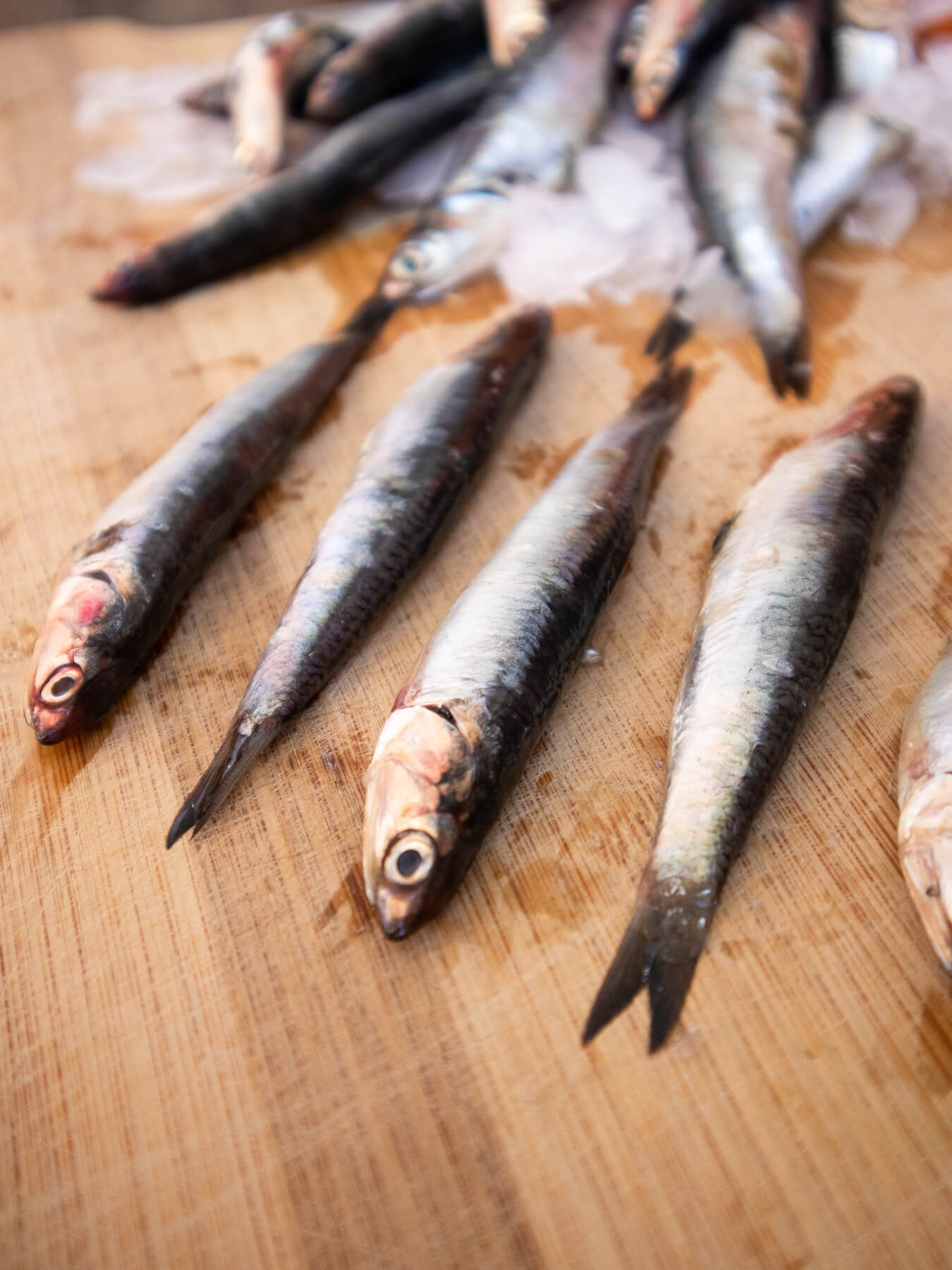 Anchovies — photo 5