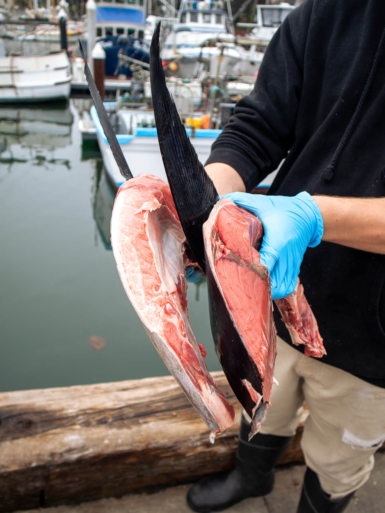 Bluefin Maguro Collars — photo 2