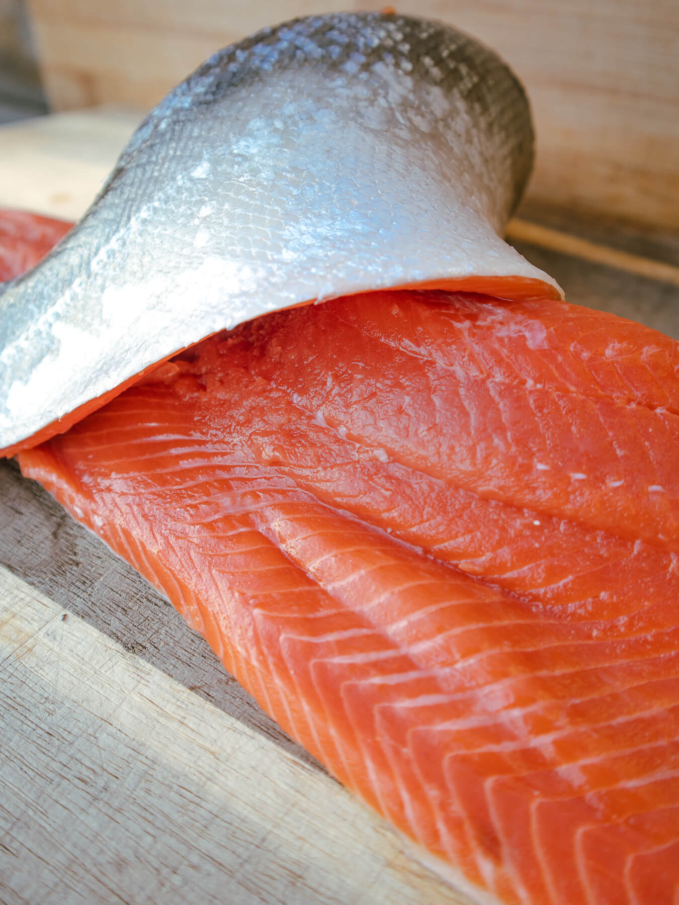 Sockeye Salmon — photo 2