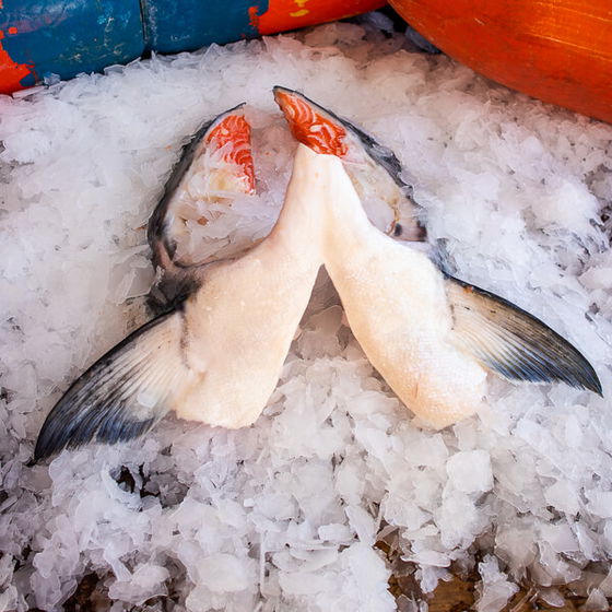King Salmon Collars