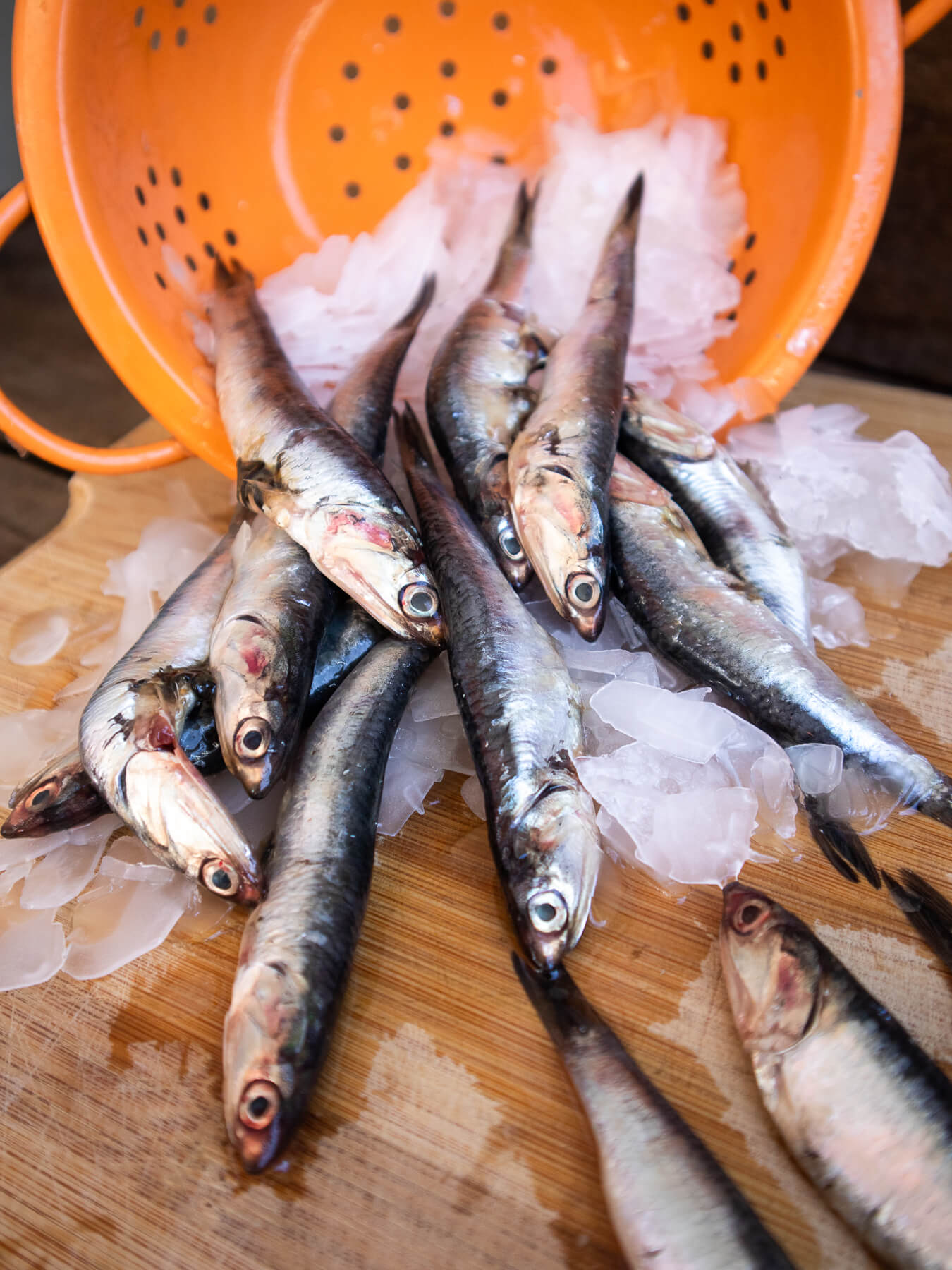 Anchovies — photo 3