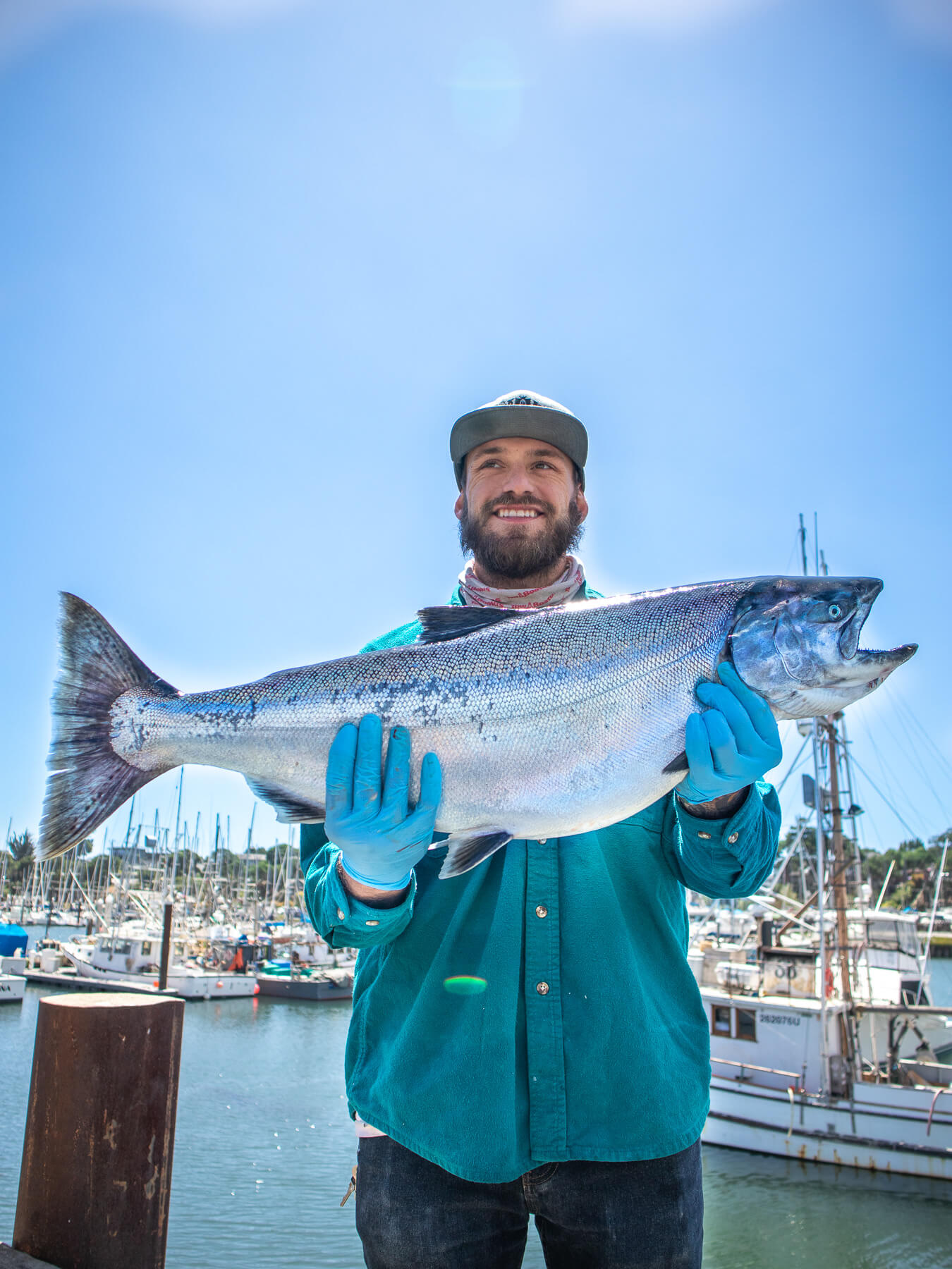 King Salmon — photo 2