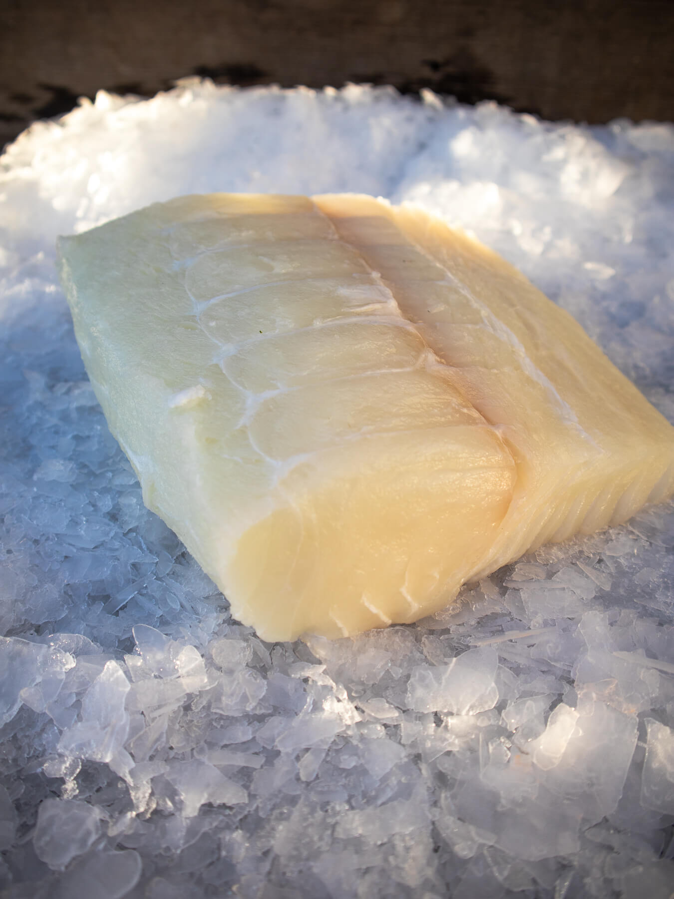 Pacific Halibut — photo 2