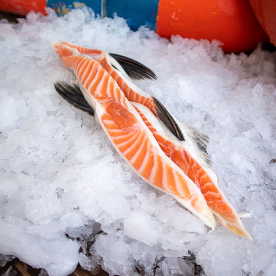 Coho Salmon Bellies