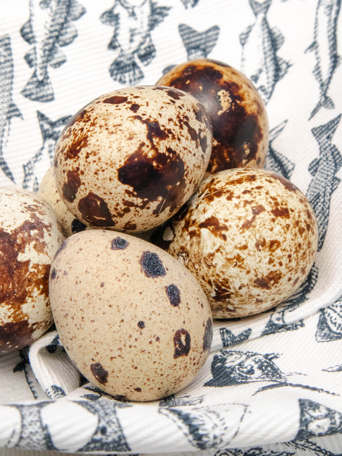 Quail Eggs — photo 2