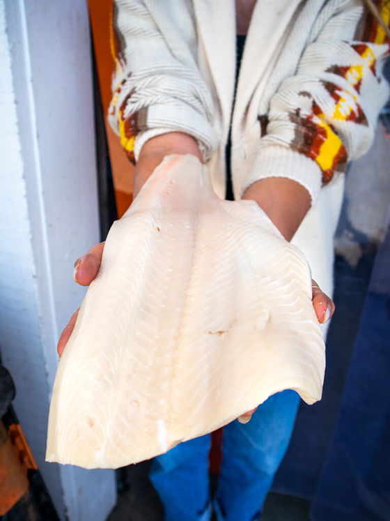 Ivory King Salmon