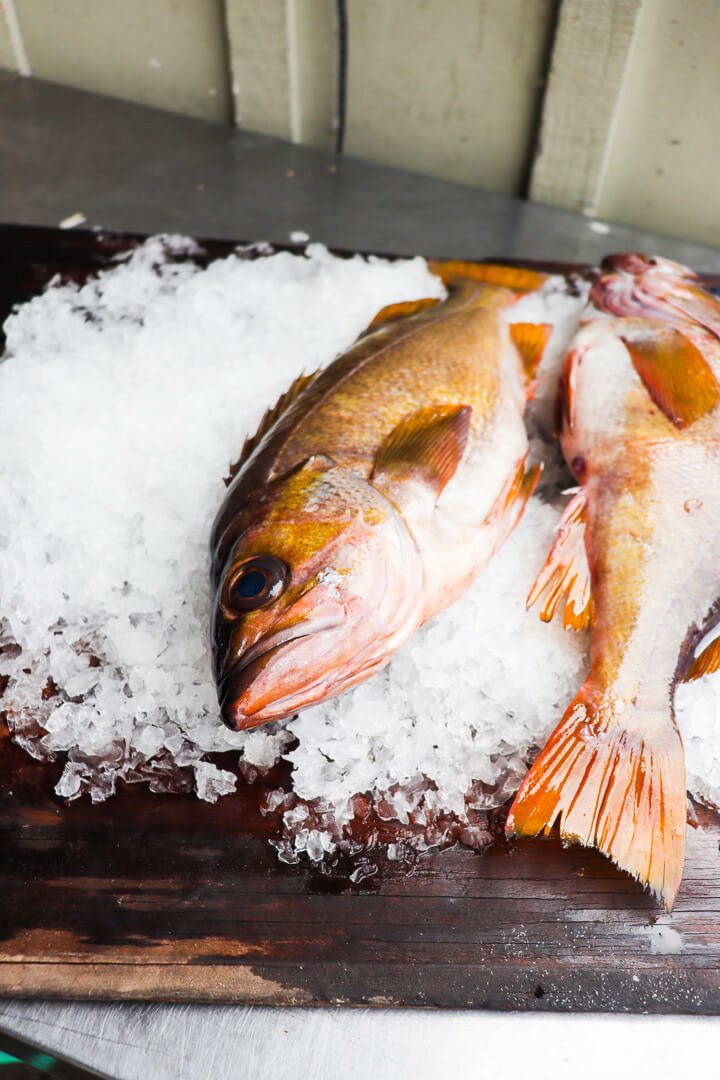 Rockfish (Whole) — photo 1