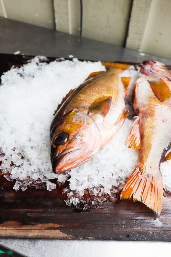 Rockfish (Whole)
