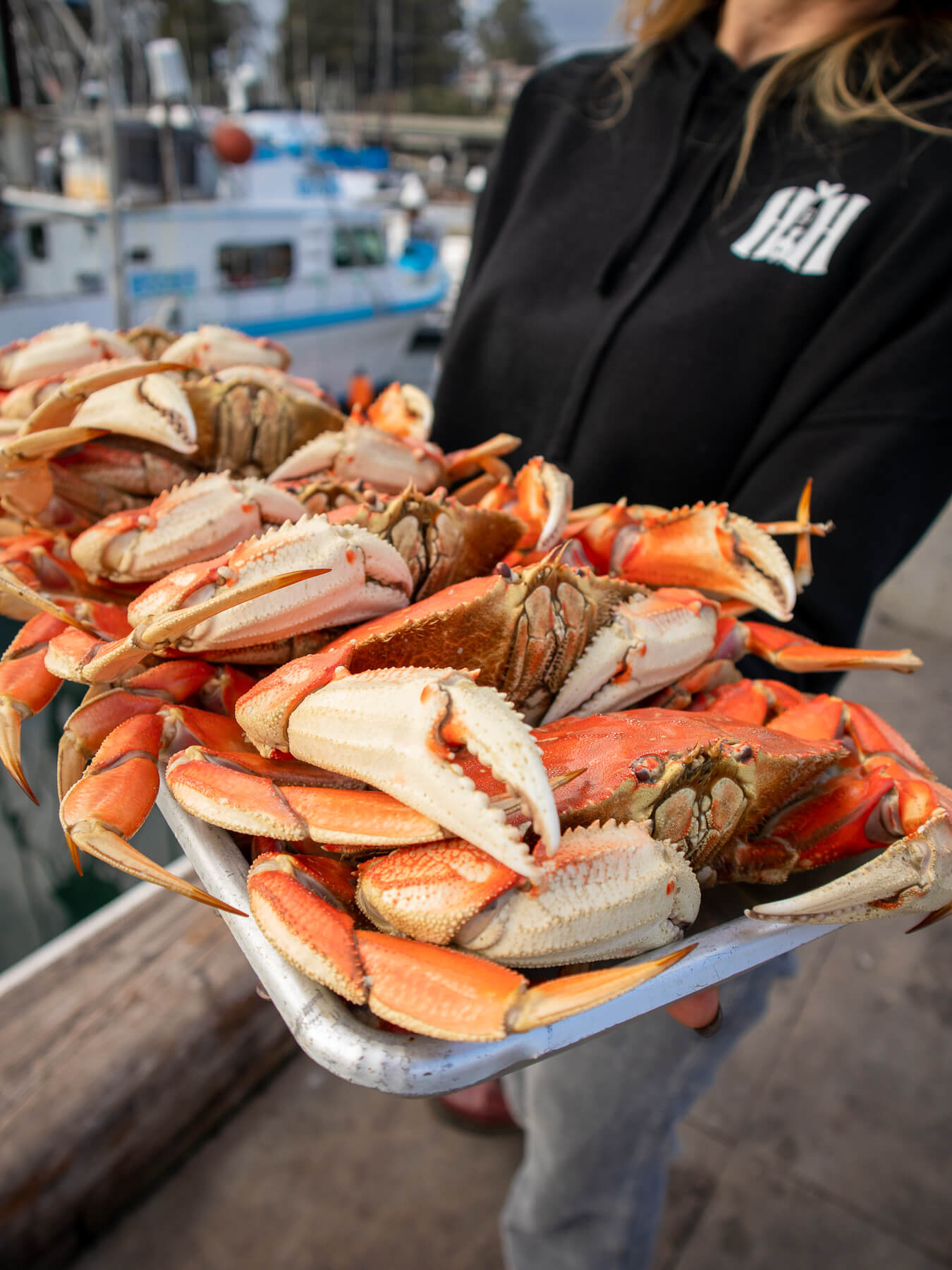 Cooked Dungeness Crab — photo 2