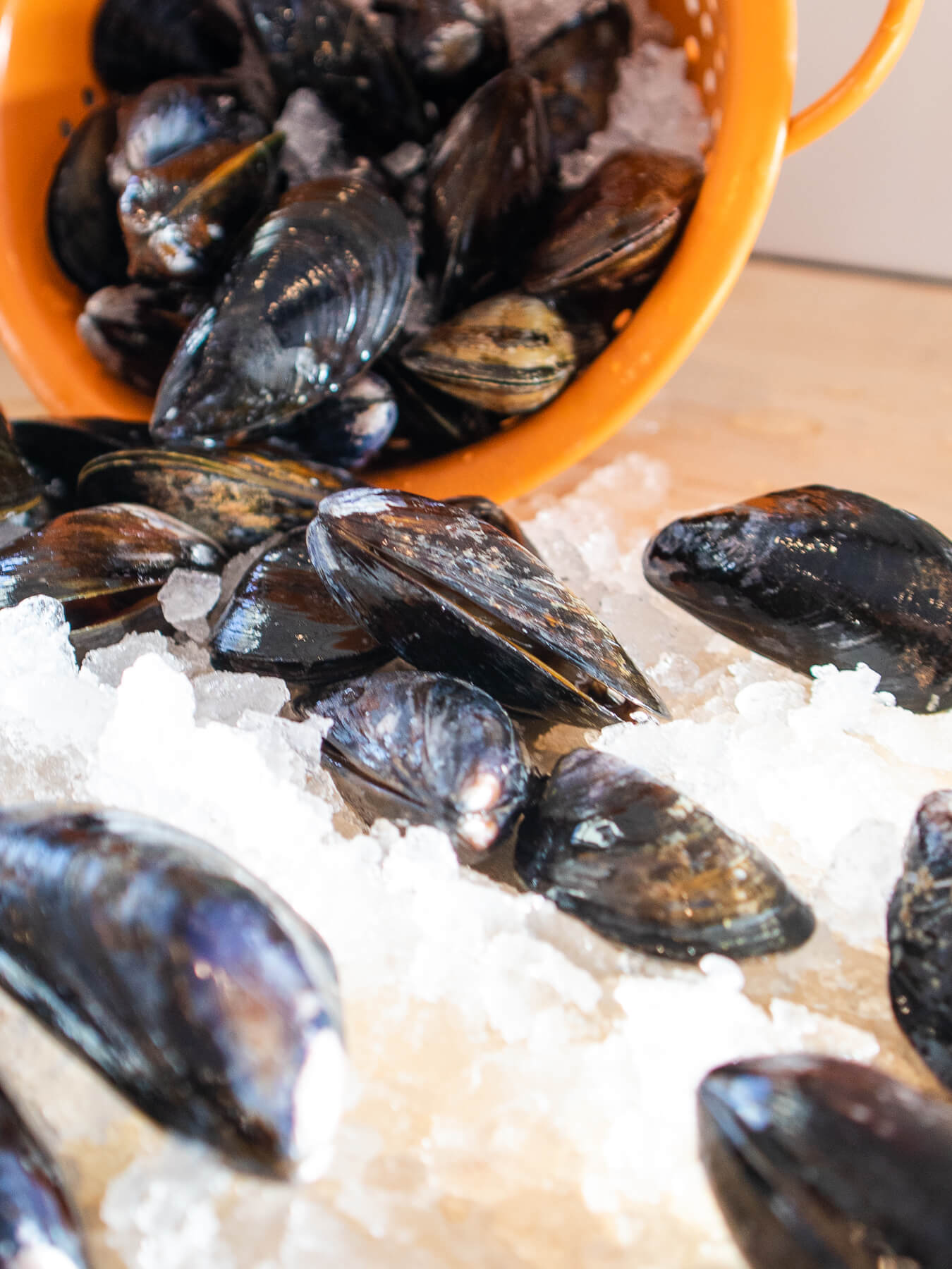 Blue Mussels — photo 2
