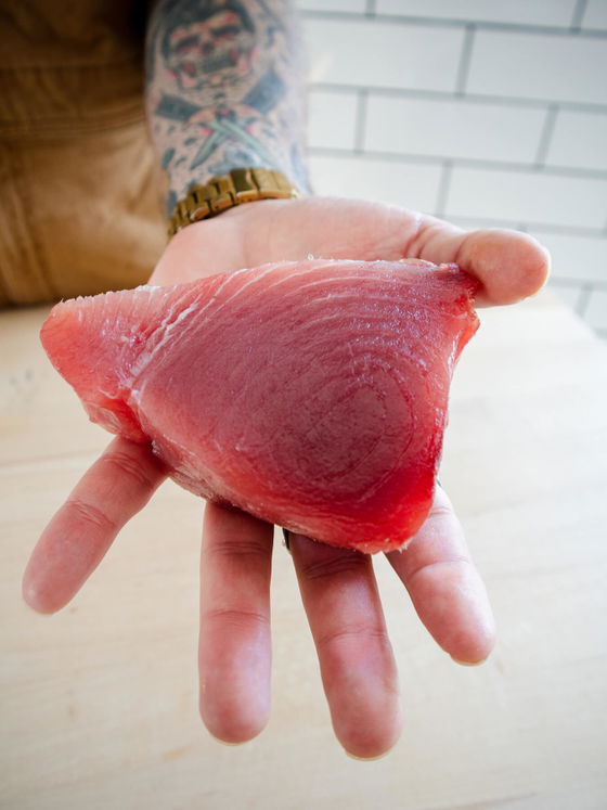 Bigeye Tuna