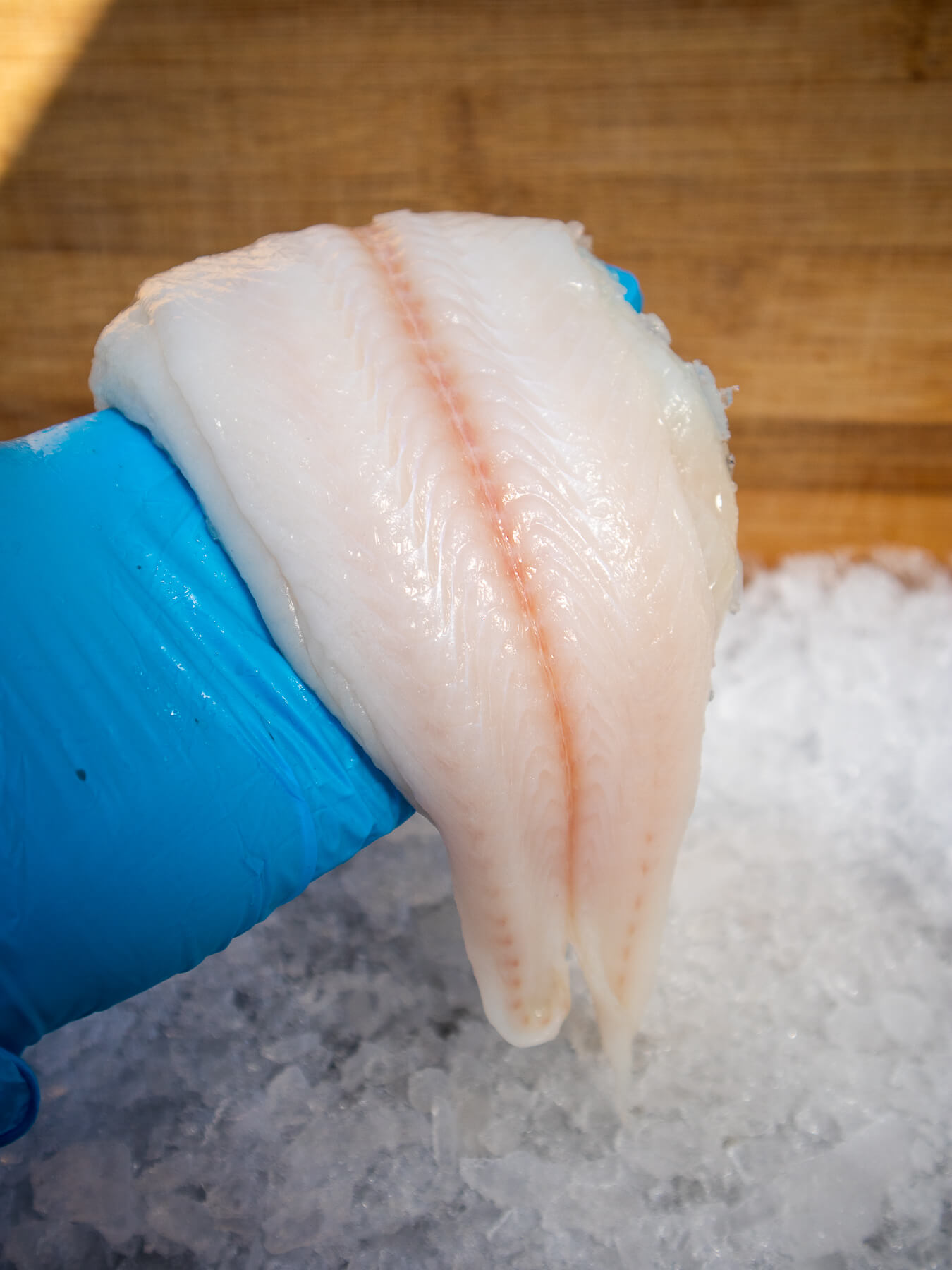 Dover Sole — photo 4