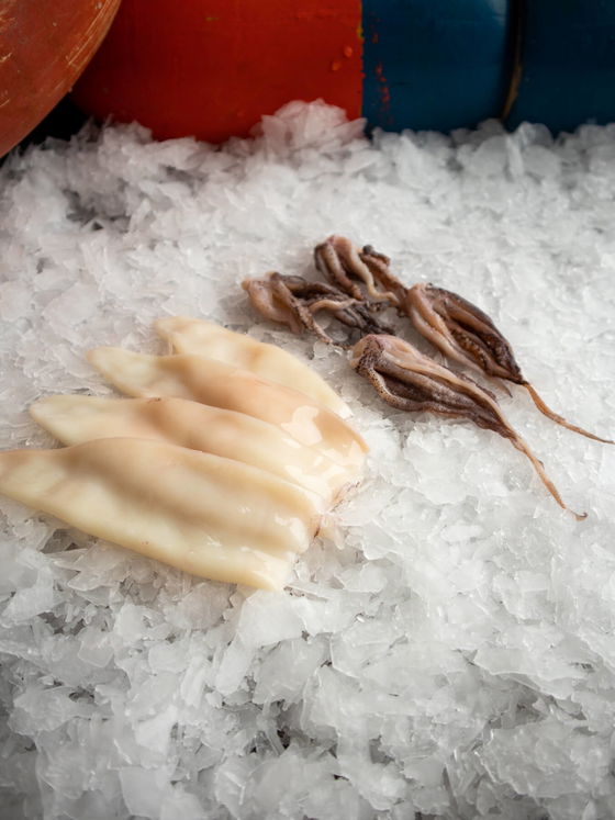 Fresh Cleaned Squid