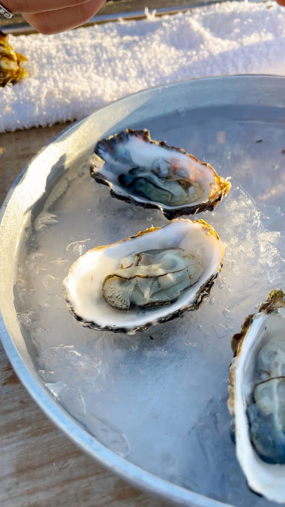 Point Reyes Oysters