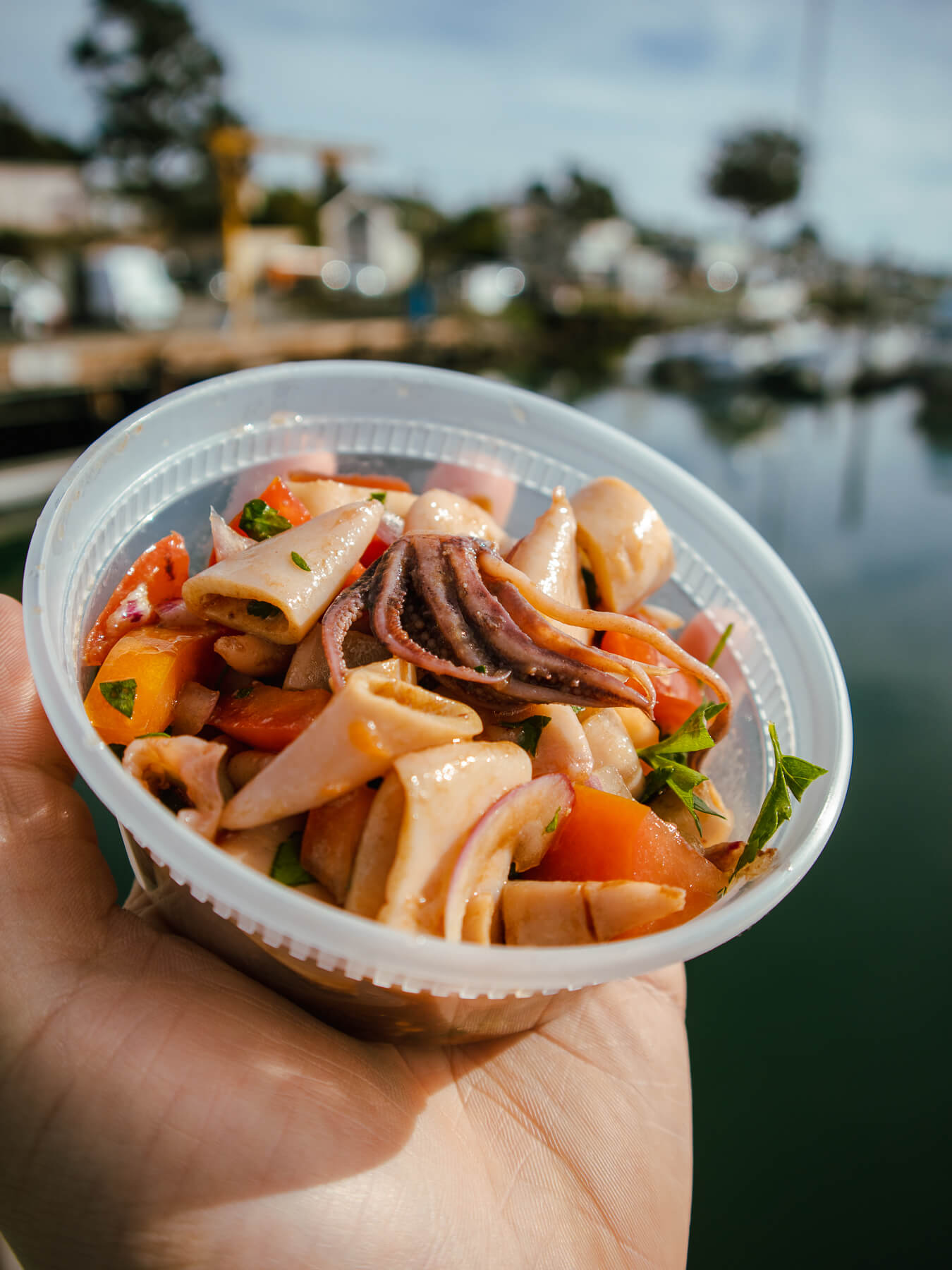 Italian Squid Salad — photo 2