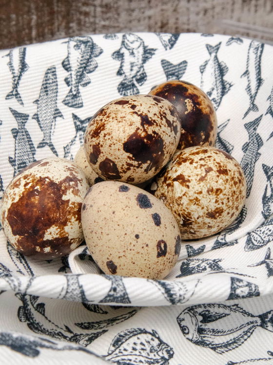 Quail Eggs