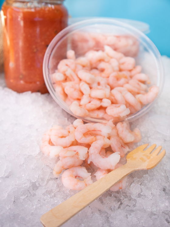 Pink Shrimp