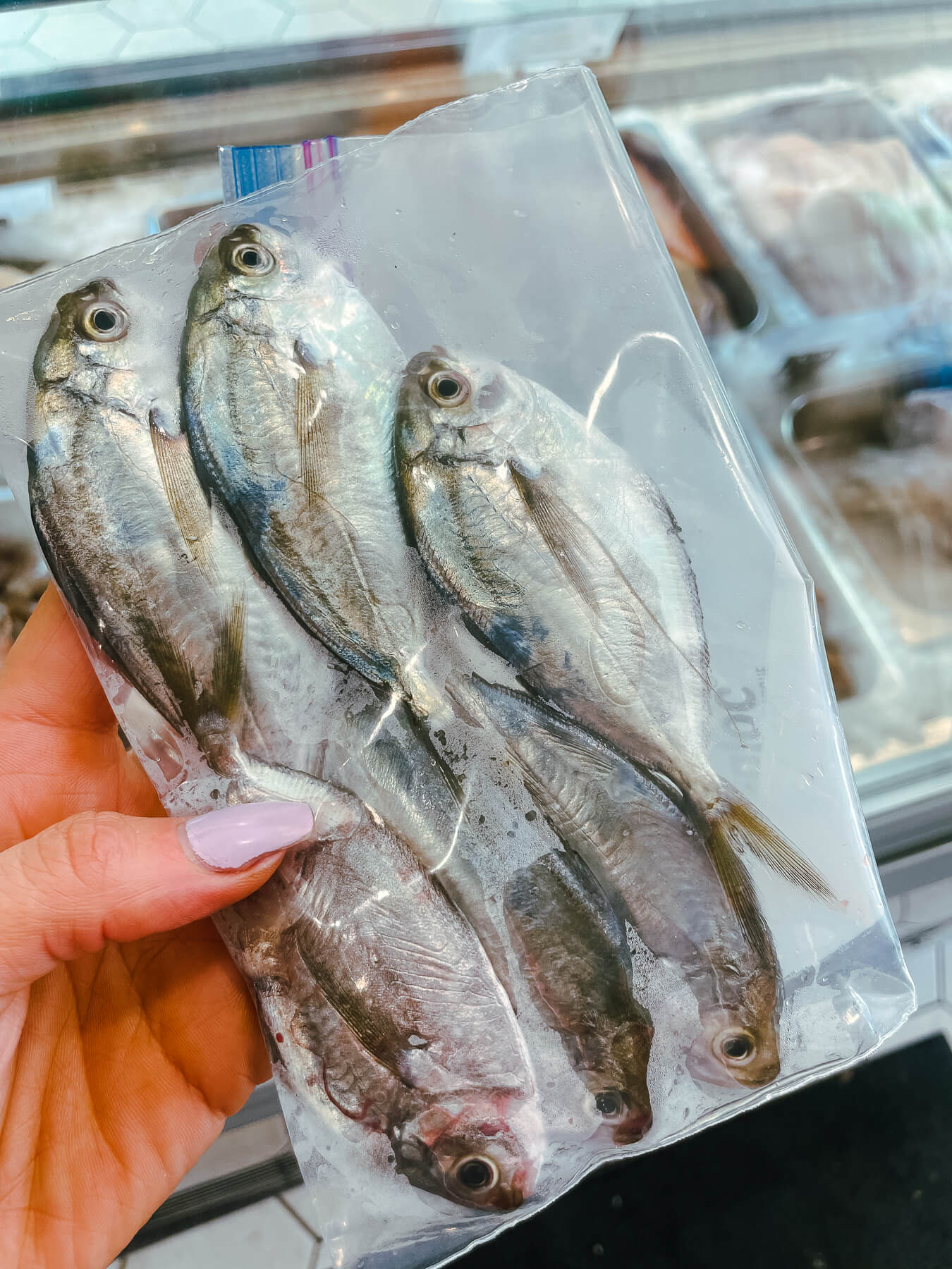 Pompano — photo 3